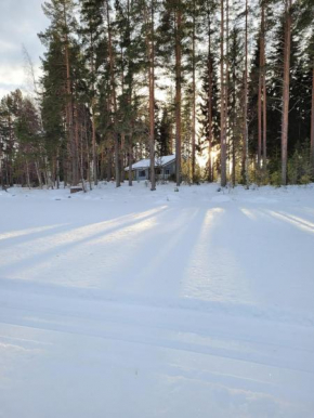 V��lituvan lomamökit Punkaharju